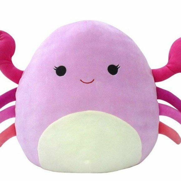 cailey squishmallow